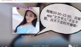 芊芊视频,揭秘生活点滴，展现人间真情